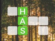 Žaidimas „Word Connect“ internete