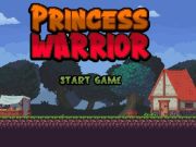 Žaidimas Princesės karys internete