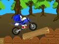 Žaidimas Perdavimas Sonic lenktynės  internete