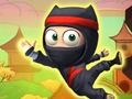 Žaidimas Ninja pakilimas  internete