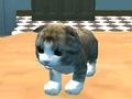 Žaidimas „Cat Simulator“: „Kitty Craft“! internete