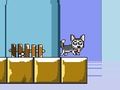 Žaidimas Ponas Jump Husky  internete