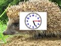 Žaidimas "Puzzle Pics"laikrodžiai  internete