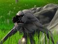 Žaidimas Monster Defense  internete
