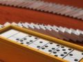 Žaidimas „Domino Multiplayer“  internete