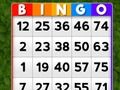 Žaidimas Bingo internete
