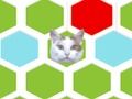 Žaidimas Spąstai Kat  internete