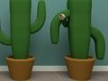 Žaidimas „Cactus Cube“ internete