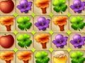 Žaidimas „Forest Match 3“  internete