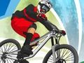 Žaidimas Vasaros sporto MTB herojus  internete