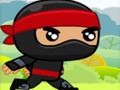 Žaidimas Ninja internete
