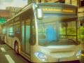 Žaidimas Miesto autobusų vairuotojas  internete