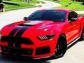Žaidimas Fancy Mustang skirtumai  internete