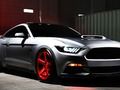 Žaidimas Kasdienis Mustangas  internete