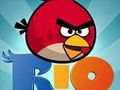 Žaidimas Blogio paukščių Rio internete Žaidimas Blogio paukščių Rio internete