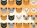 Žaidimas „Cute Kitty“ 3 rungtynės  internete