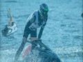 Žaidimas „Power Boat Racing 3D“  internete