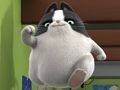 Žaidimas Agentas Binky Pets of the Universe Dėlionės  internete