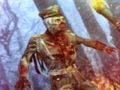 Žaidimas „Zombie Hunter“ herojus  internete