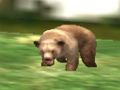 Žaidimas Gyvūnų medžiotojas „Safari“  internete