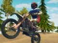 Žaidimas „Dirt Bike Enduro Racing“  internete