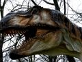 Žaidimas „T-Rex“ dinozaurų dėlionė  internete