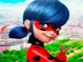 Žaidimas Dėlionės kolekcija „LadyBug“  internete