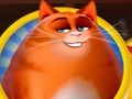 Žaidimas Kitty peštynės  internete