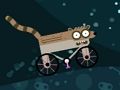 Žaidimas „RigBMX“  internete