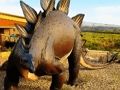 Žaidimas „Stegosaurus“ dinozaurų dėlionė  internete