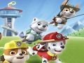 Žaidimas Paw Patrol dažymas  internete