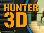 Žaidimas Medžiotojas 3D  internete