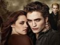 Žaidimas „Twilight Jigsaw Puzzle“ kolekcija internete Žaidimas „Twilight Jigsaw Puzzle“ kolekcija internete