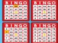 Žaidimas Bingo Bashas internete