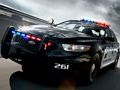 Žaidimas Policijos automobilių dažymas  internete