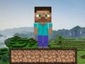 Žaidimas Minecraft išgyvenimas  internete