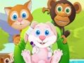 Žaidimas „Pet House“ mažieji draugai  internete