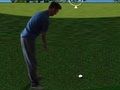 Žaidimas „Flash Golf 3D“  internete