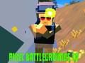 Žaidimas „Pixel Battlegrounds“. IO  internete