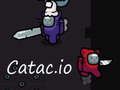 Žaidimas Katakas. io  internete