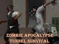 Žaidimas Zombių apokalipsės tunelio išgyvenimas  internete