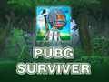 Žaidimas PUBG maitintojas  internete