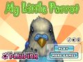 Žaidimas Polly Parrot internete
