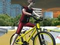 Žaidimas Ekstremalus BMX laisvalaikis 3D internete Žaidimas Ekstremalus BMX laisvalaikis 3D internete