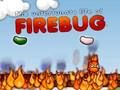 Žaidimas Firebug internete