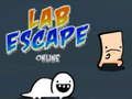 Žaidimas Lab pabėgimas internete  internete