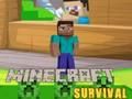 Žaidimas Minecraft išgyvenimas  internete