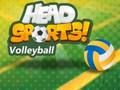 Žaidimas Galvos sporto tinklinis internete Žaidimas Galvos sporto tinklinis internete