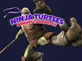 Žaidimas Ninja Turtles Atminties kortelės atitikmuo  internete