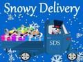 Žaidimas Sniego pristatymas  internete